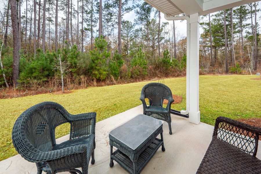 Exterior details and patio area of a home in Hammock Walk at Nexton, Summerville (Image 4).