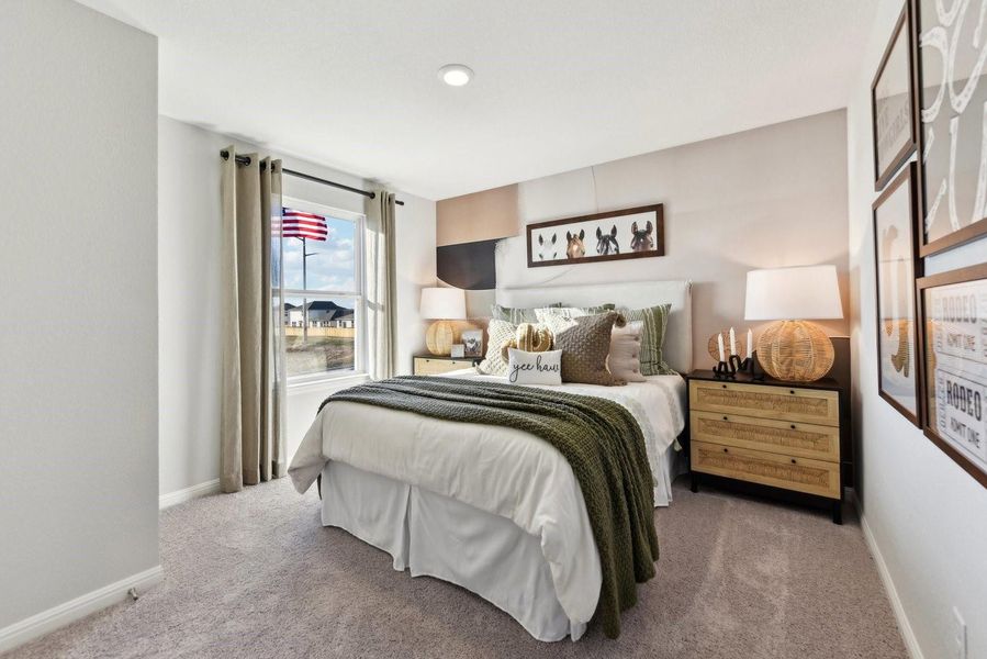 Soft carpeting pairs with a tall window to create an inviting bedroom atmosphere.