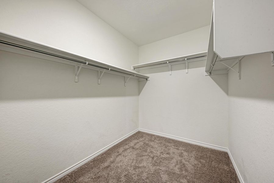 A well-organized primary closet offers ample shelving and hanging space.