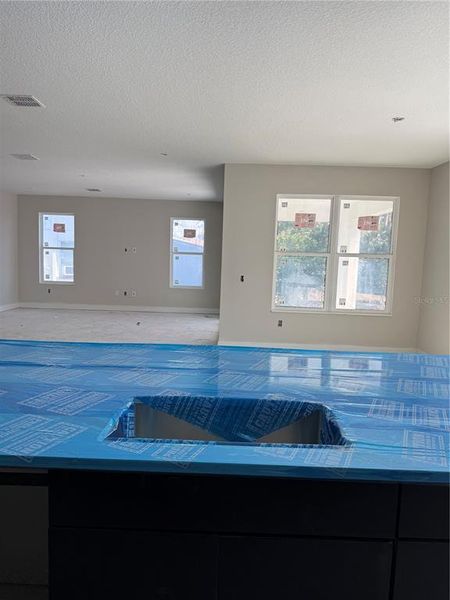 In-progress construction of a new home in , Tampa, FL (Image 15). In-progress construction of a new home in , Tampa, FL (Image 15).