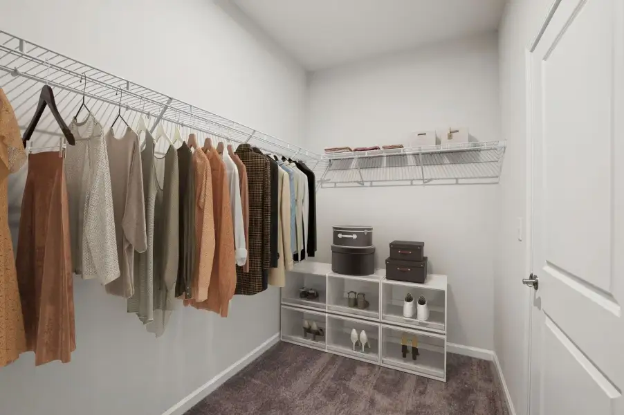 Primary Closet