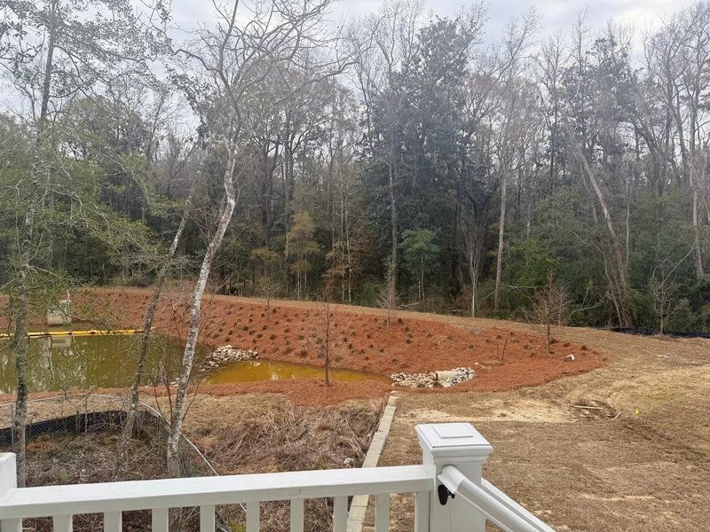 Site preparation for new homesites in , Johns Island (Image 19).