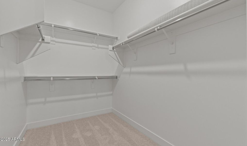 FSVV Lot #47 Primary WIC (Large)