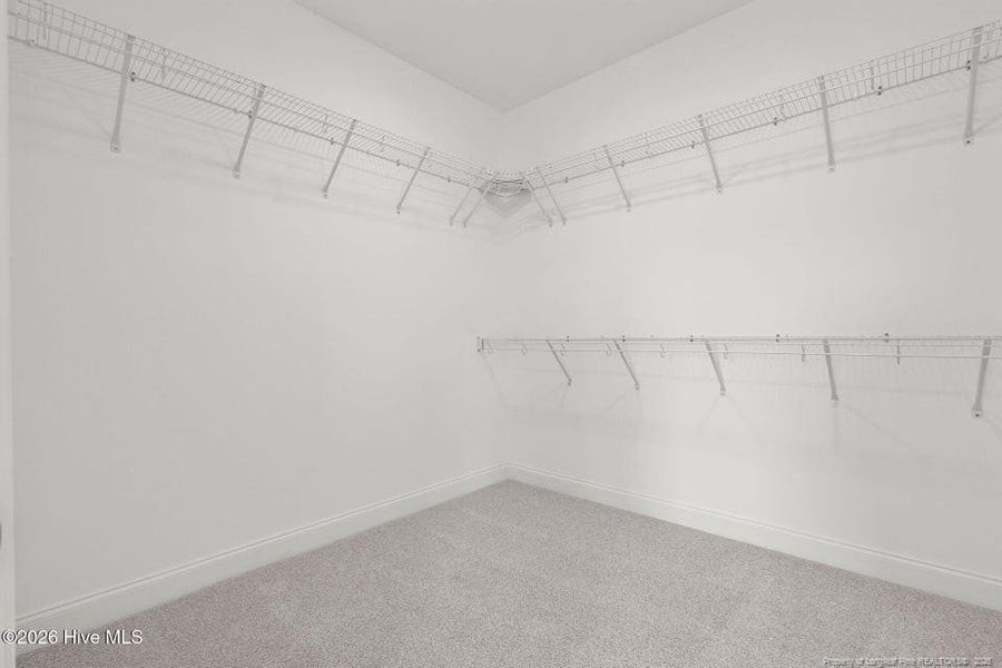 REPRESENTATION PHOTO REPRESENTATION PHOTO