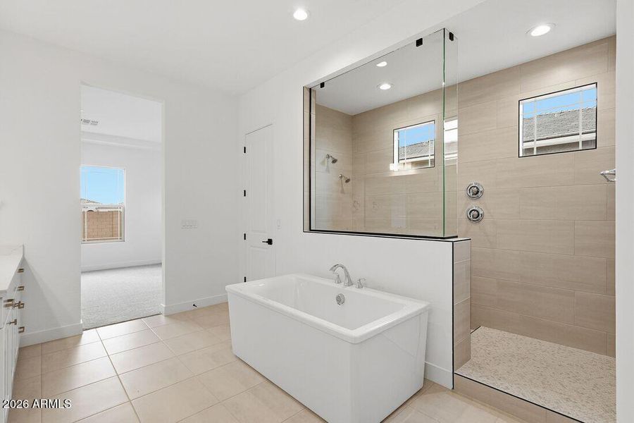 hj-az-phoenix-aloravita-south-summit-cat hj-az-phoenix-aloravita-south-summit-cat