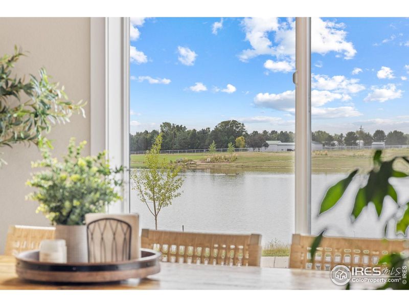 View of backyard from dining room
