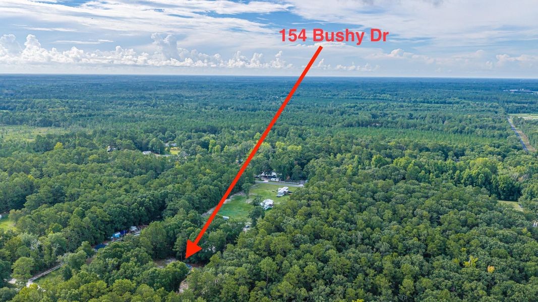 Natural landscape and outdoor views near  in Walterboro (Image 78).
