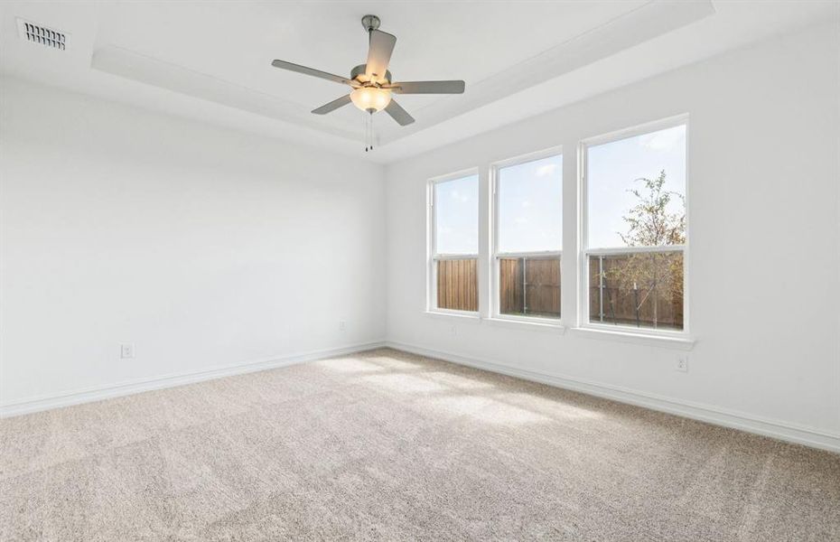 Owner's suite with tray ceiling Owner's suite with tray ceiling