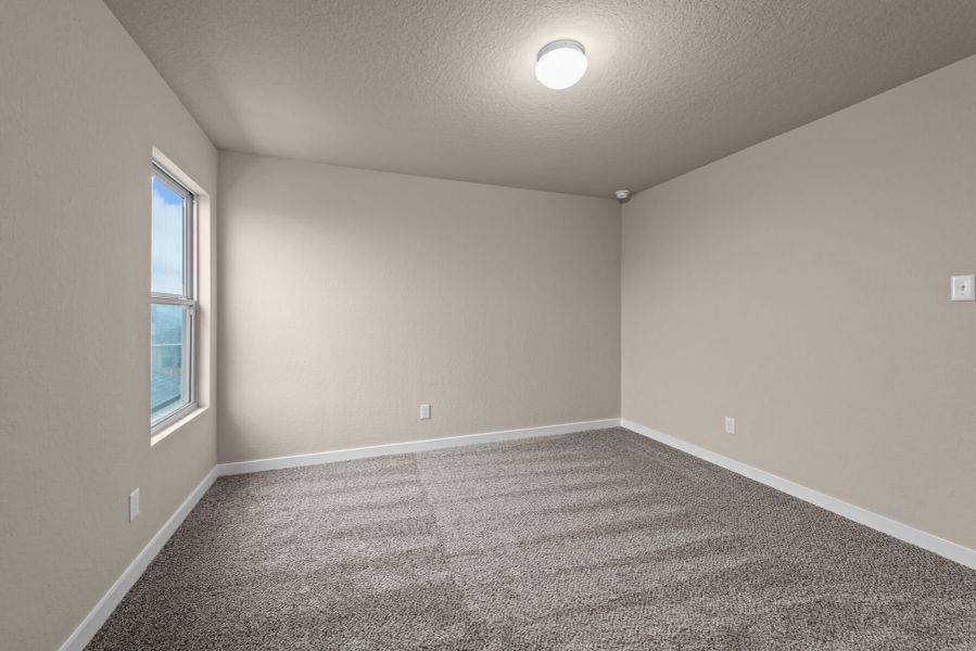 Representational Photo of Larkspur Representational Photo of Larkspur