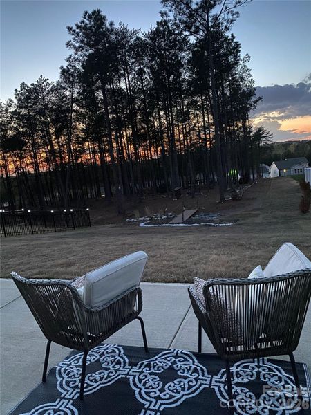 Tree lined view on the property
