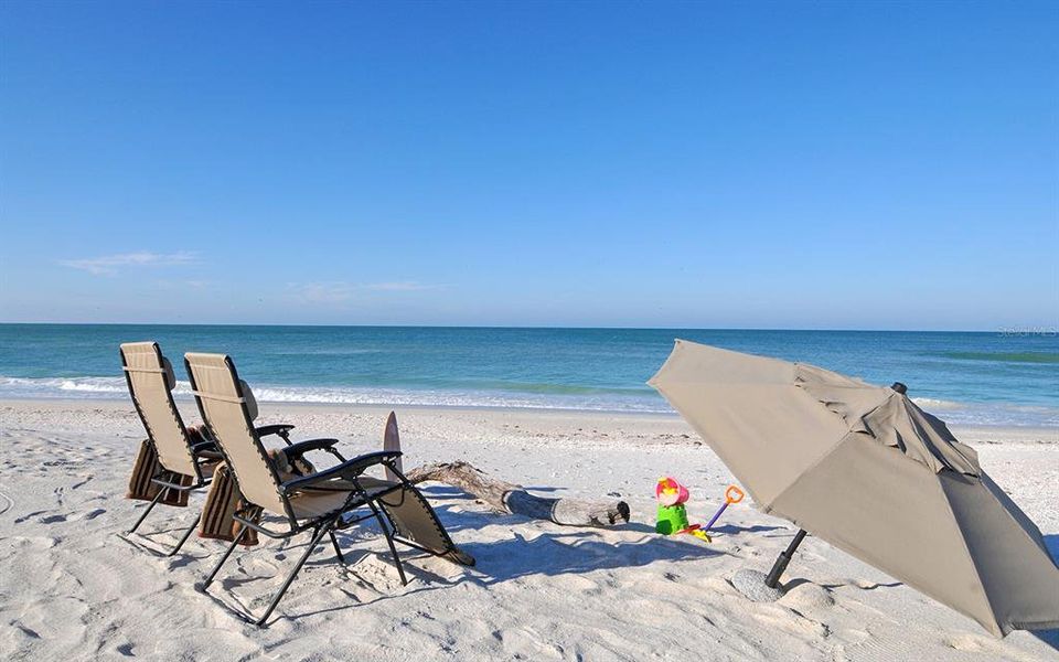Community amenities in , Sarasota (Image 31).