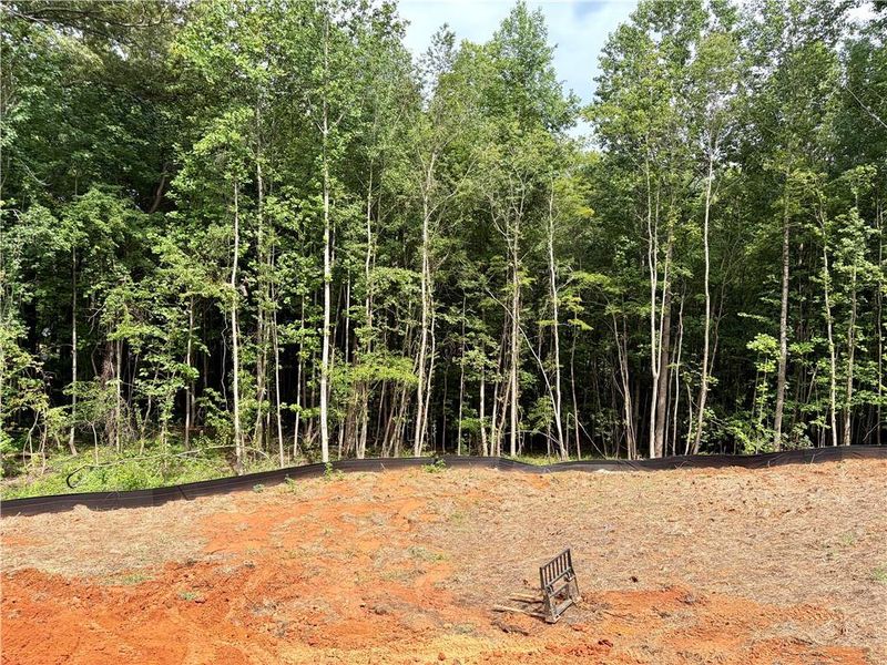 Natural landscape and outdoor views near Enclave at Little Ridge in Acworth (Image 44).