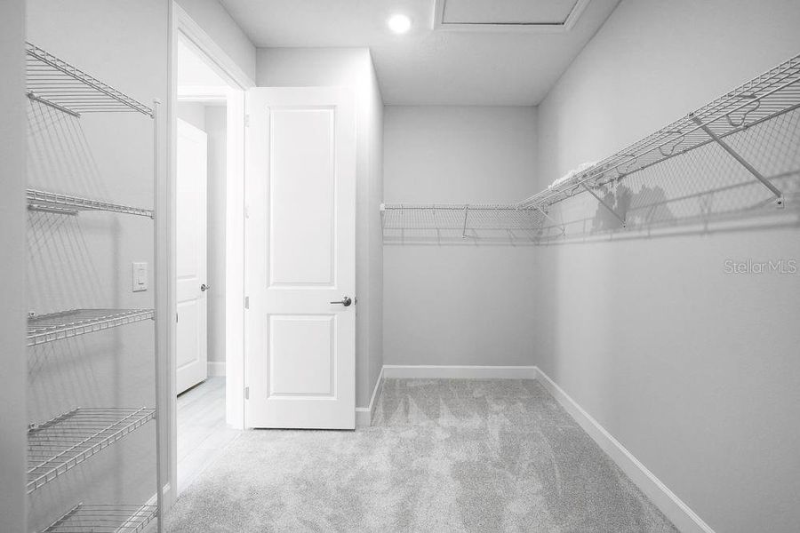 Spacious, unfurnished interior of a new home in Hammock at Two Rivers, Zephyrhills (Image 29).