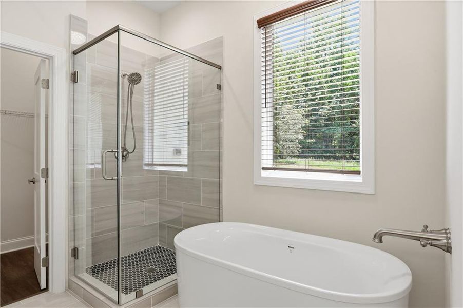 Furnished interior view inside a new home in , Cornelia (Image 12).