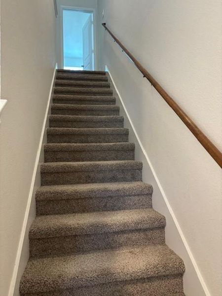 Carpeted staircase featuring a wooden handrail and light-toned wall finishes