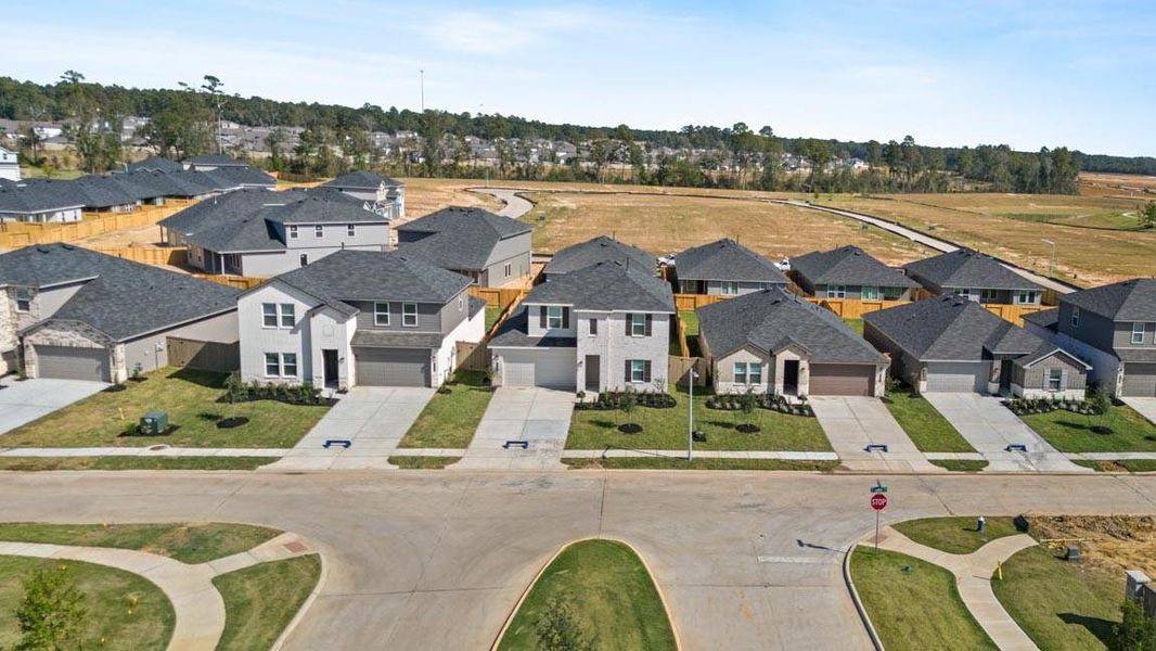 Image 18 of a home in The Canopies.