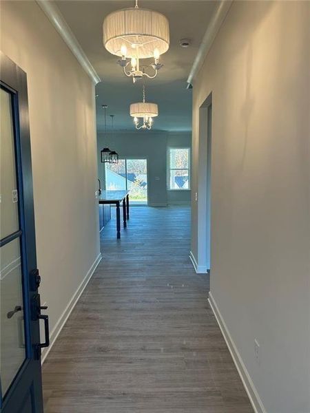 Spacious, unfurnished interior of a new home in Cooks Farm, Woodstock (Image 16).