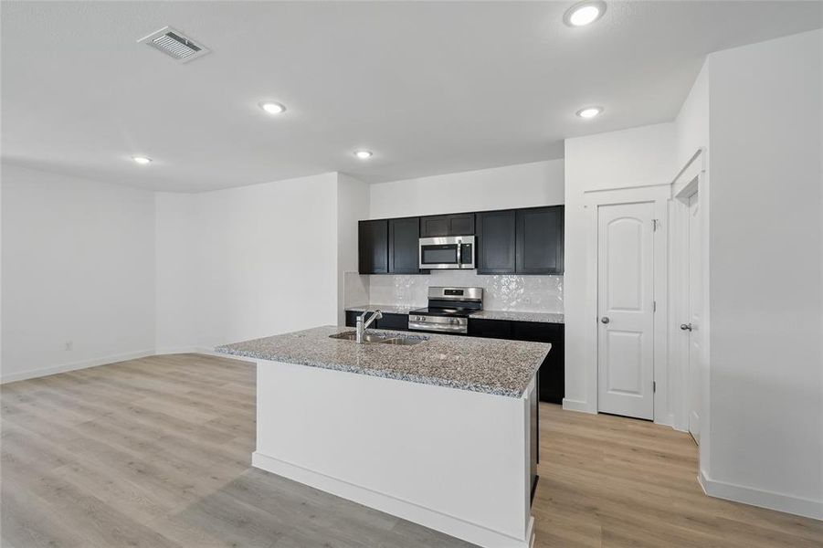 Kitchen featuring light wood-style flooring, appliances with stainless steel finishes, a sink, dark cabinetry, and decorative backsplash Kitchen featuring light wood-style flooring, appliances with stainless steel finishes, a sink, dark cabinetry, and decorative backsplash