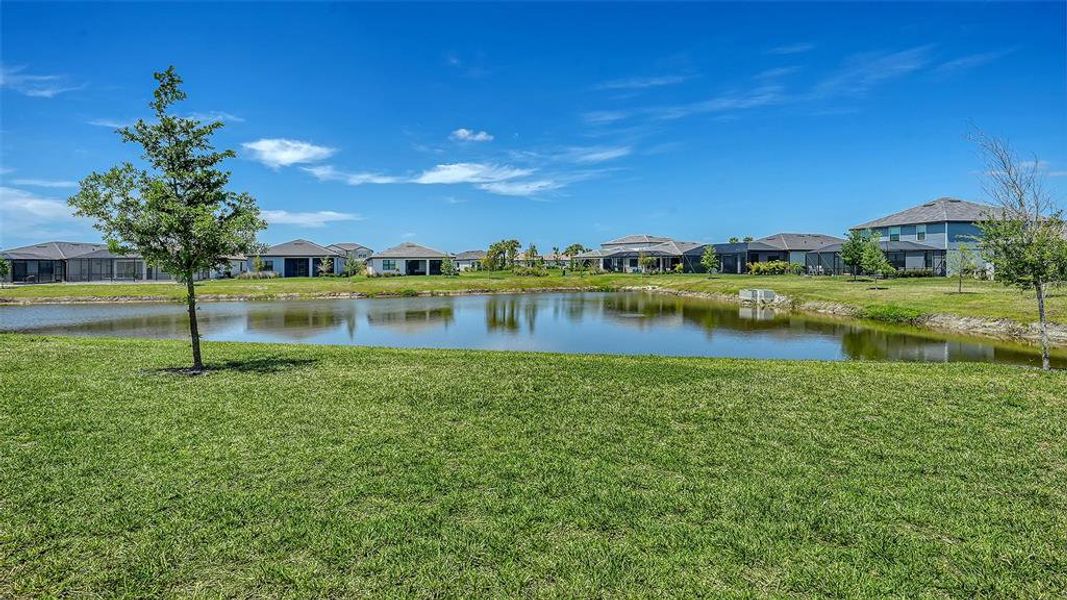 Natural landscape and outdoor views near  in Venice (Image 72).