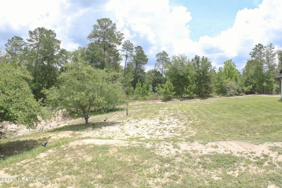 Natural landscape and outdoor views near in Keystone Heights (Image 51). Natural landscape and outdoor views near in Keystone Heights (Image 51).
