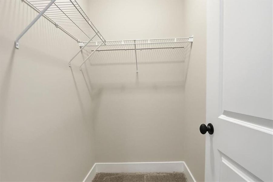 Spacious, unfurnished interior of a new home in , Statham (Image 28).