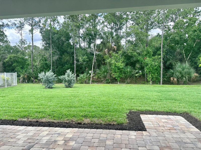 Private yard Private yard
