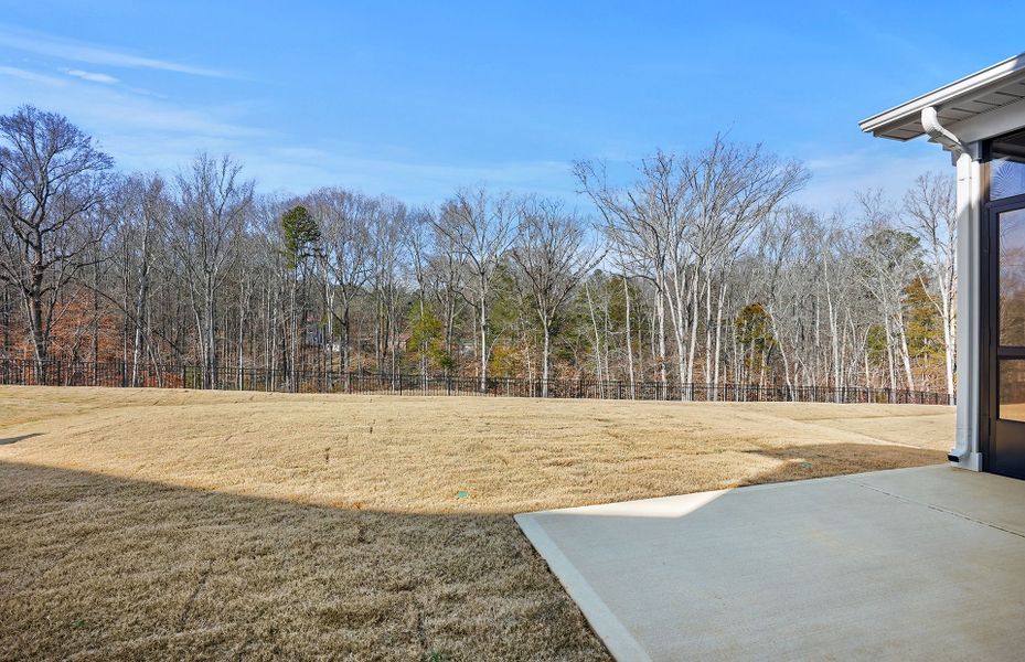 Exterior details and patio area of a home in Forest Creek, Waxhaw (Image 3).