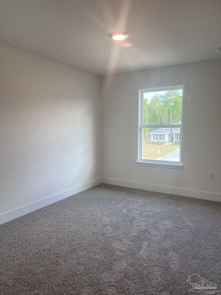 Spacious, unfurnished interior of a new home in Blossom Grove, Milton (Image 11).