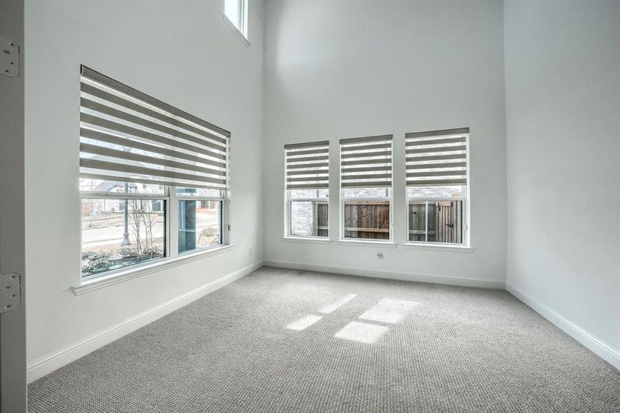 Carpeted empty room featuring plenty of natural light, a high ceiling, and baseboards