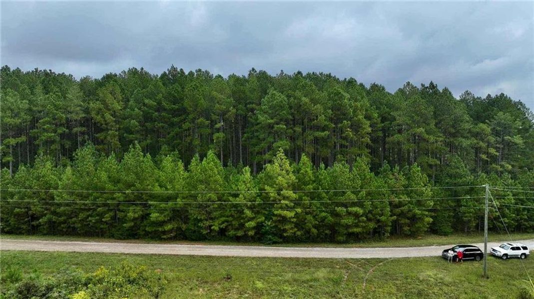 Natural landscape and outdoor views near  in Elberton (Image 5).