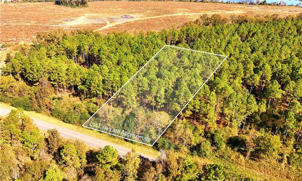 Natural landscape and outdoor views near  in Chester (Image 30).