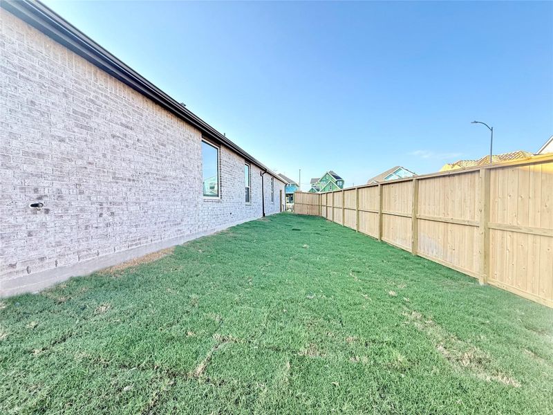 Backyard