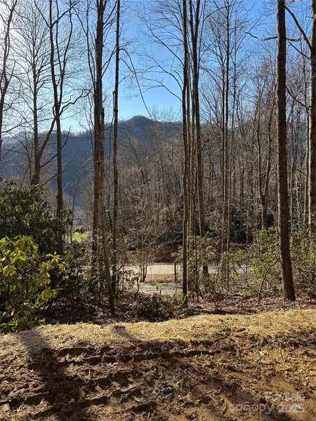 Natural landscape and outdoor views near  in Maggie Valley (Image 9).