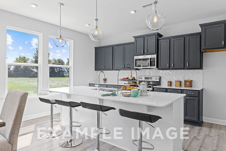 Representative furnished interior of a home built from the The Chestnut by Davidson Homes LLC in Wendell Ridge, Wendell (Image 9).
