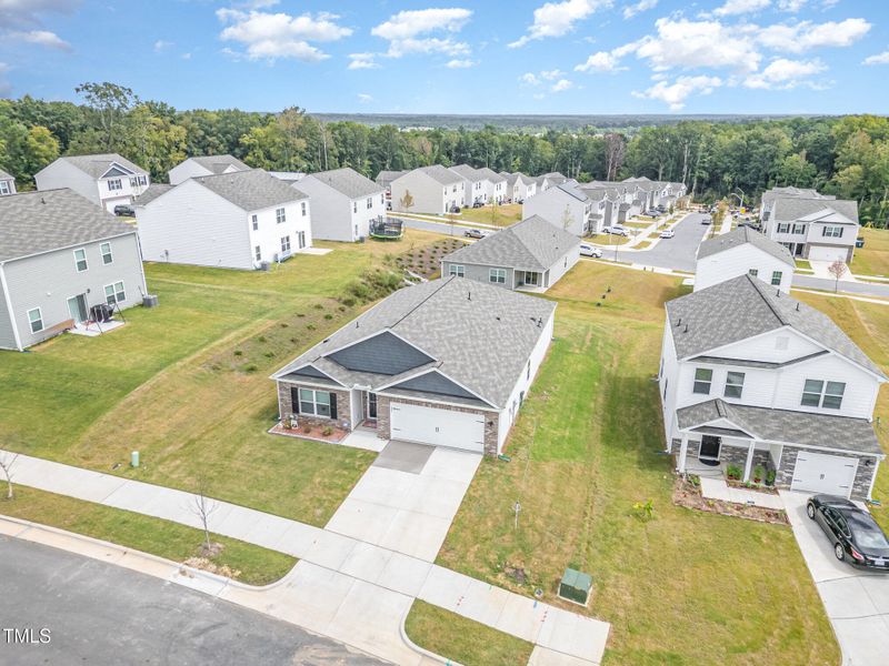 029_file_932 029_file_932