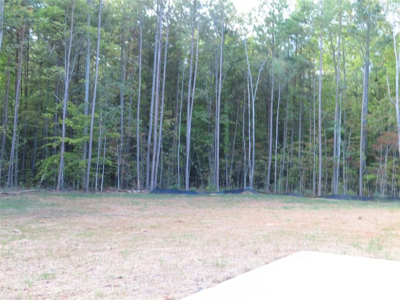 Natural landscape and outdoor views near  in York (Image 25).