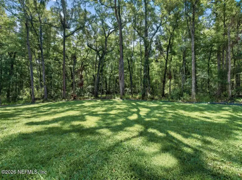 Natural landscape and outdoor views near  in Middleburg (Image 51).