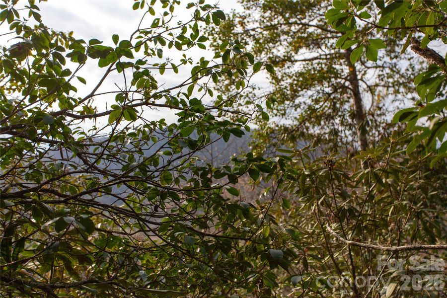 Natural landscape and outdoor views near  in Penrose (Image 10).