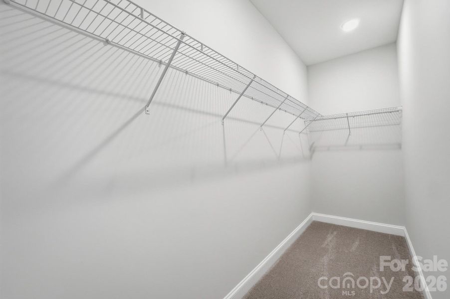 Walk in Closet