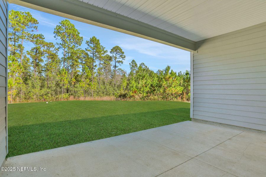 Exterior details and patio area of a home in , Green Cove Springs (Image 27).
