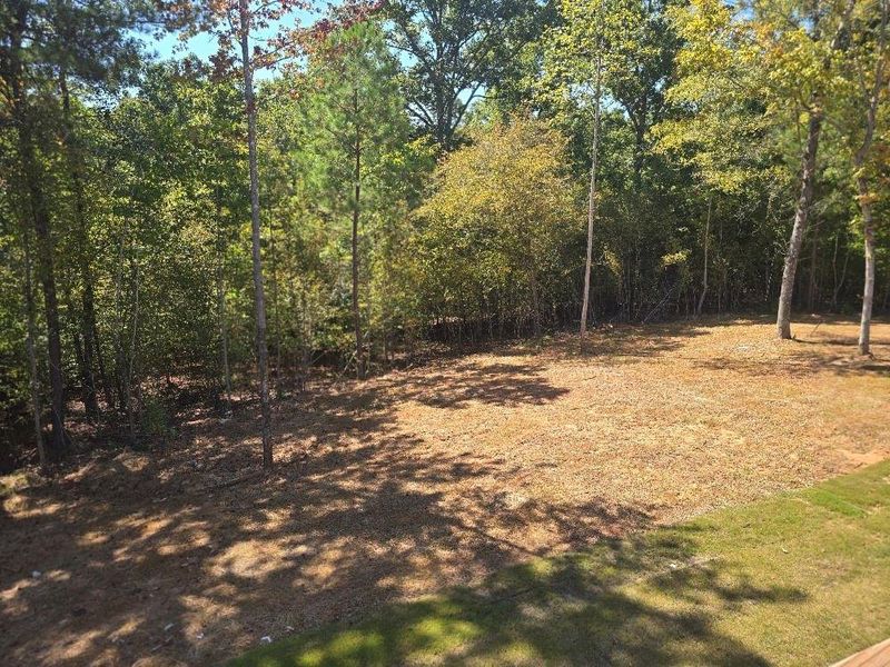 Natural landscape and outdoor views near Waters Edge in Mansfield (Image 37).