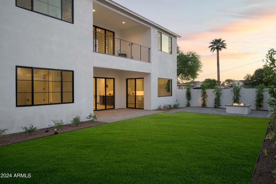 Ficus Lined Backyard