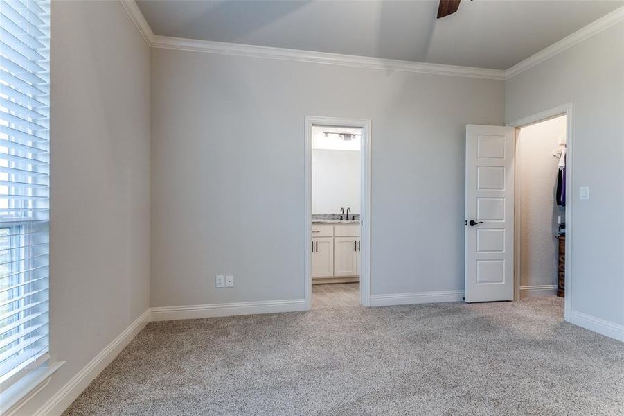 Unfurnished bedroom featuring crown molding, light colored carpet, multiple windows, and ensuite bath