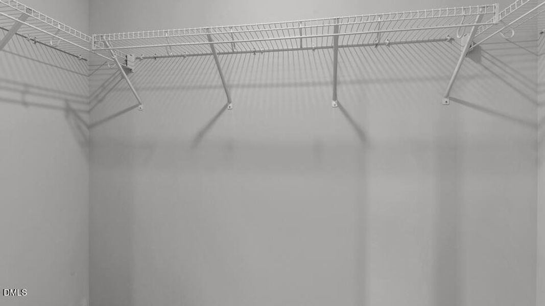 belle-grove-lot-100-025 belle-grove-lot-100-025