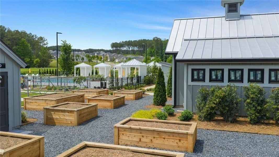 Community amenities in Soleil Belmont Park, Canton (Image 67).