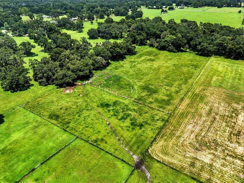 Natural landscape and outdoor views near  in Dade City (Image 4).