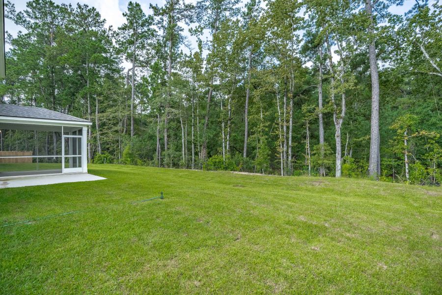 Natural landscape and outdoor views near Bradford Pointe in Summerville (Image 50).