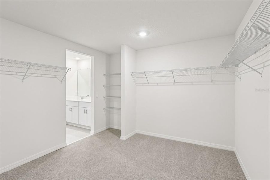 Spacious, unfurnished interior of a new home in , Davenport (Image 30).