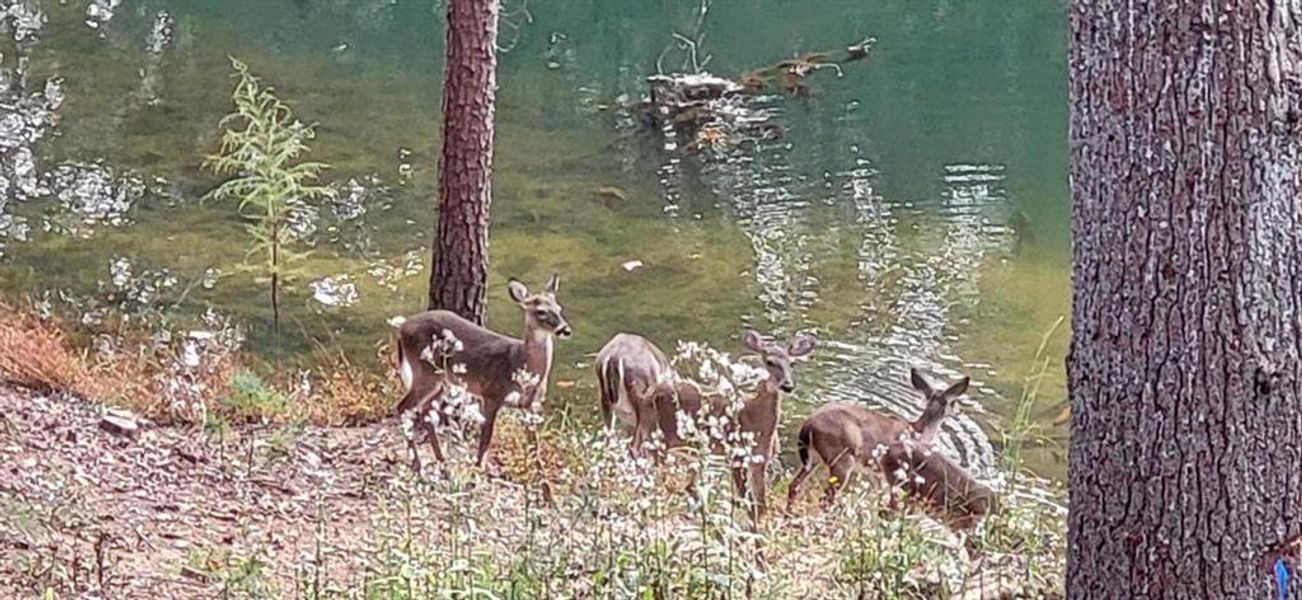 Image 68 of a home in . Image 68 of a home in .