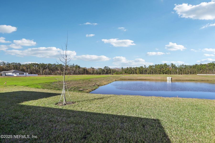 Natural landscape and outdoor views near Azalea Creek in Jacksonville (Image 34).